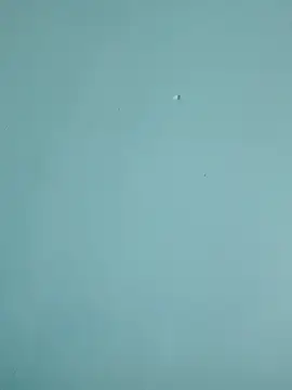 Snapshot of braidqueen00 chatting on February 19, 2026, 7:55 pm braidqueen00 online show from February 19, 2026, 7:55 pm