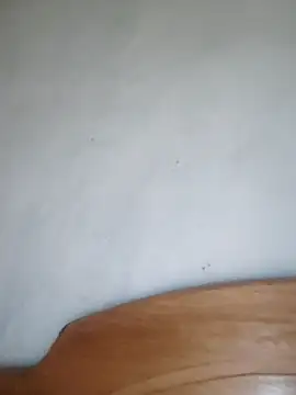 Snapshot of braidqueen00 chatting on February 26, 2026, 2:11 am braidqueen00 online show from February 26, 2026, 2:11 am