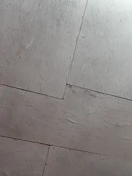 Snapshot of braidqueen00 chatting on February 26, 2026, 7:03 pm braidqueen00 online show from February 26, 2026, 7:03 pm