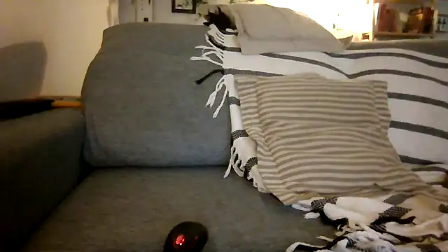 xxxluana online show from December 3, 2025, 4:02 am