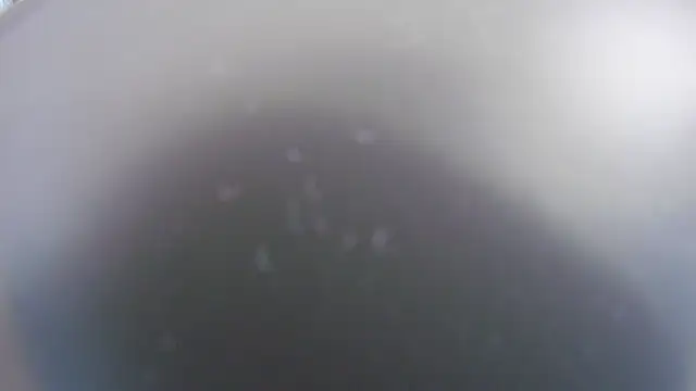 Noah Greenhart online show from January 15, 2026, 7:39 pm