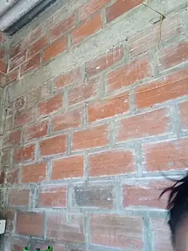 nani will online show from March 13, 2026, 5:40 pm