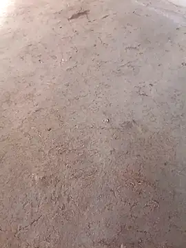 Snapshot of Nandani-758 chatting on December 2, 2025, 10:06 am Nandani-758 online show from December 2, 2025, 10:06 am