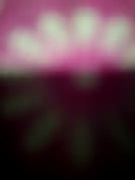 Nandani-758 online show from December 19, 2025, 12:14 am