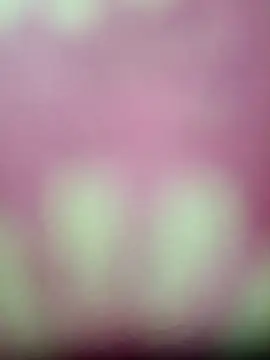 Snapshot of Nandani-758 chatting on January 17, 2026, 4:10 pm Nandani-758 online show from January 17, 2026, 4:10 pm