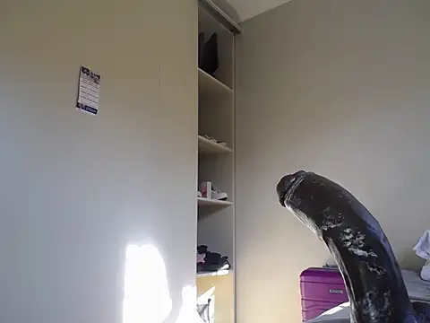 KinkyJXxX online show from April 10, 2026, 1:29 pm