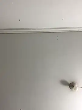 Rosa Vidal  online show from November 29, 2025, 6:52 pm