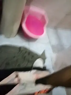 Rico123san online show from January 15, 2026, 8:07 am