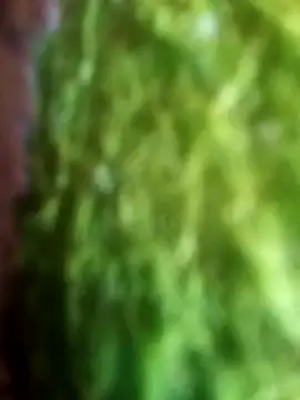 Rico123san online show from March 25, 2026, 8:52 pm