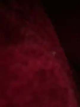 hotel222 online show from November 27, 2025, 1:06 am