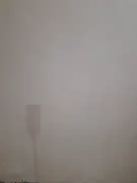 Alli8900 online show from December 20, 2025, 9:45 am