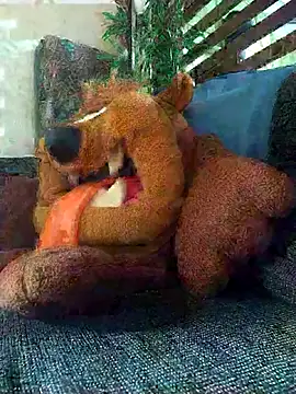 Pirulaibe23 online show from December 18, 2025, 7:18 pm