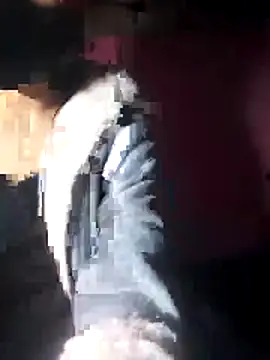 beba1100 online show from November 30, 2025, 4:08 pm