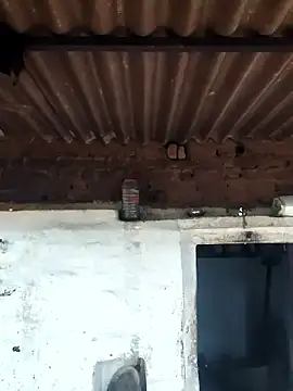 Babita Gori online show from April 9, 2026, 2:35 am