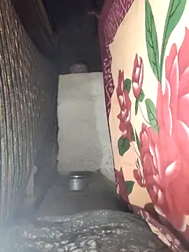 Babita Gori online show from April 17, 2026, 2:53 pm