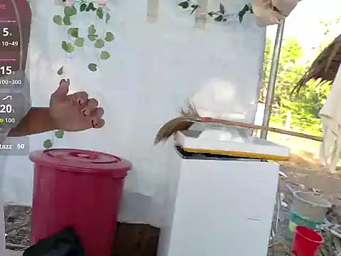 Juliet official pro online show from March 14, 2026, 11:33 pm