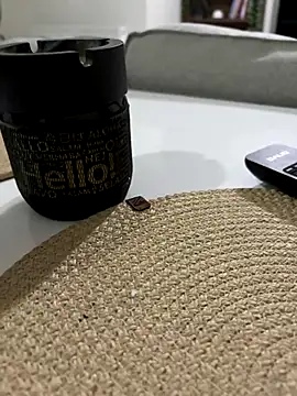 Bigefe online show from November 28, 2025, 8:53 pm