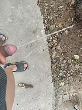 Snapshot of Adandan01 chatting on December 2, 2025, 3:52 am Adandan01 online show from December 2, 2025, 3:52 am