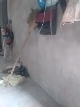 tieutam122 online show from March 2, 2026, 10:33 am