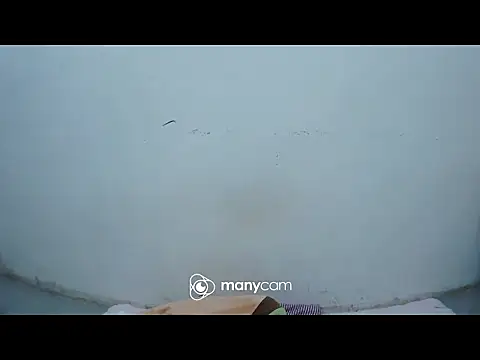 hottiemama69 online show from April 11, 2026, 10:52 am