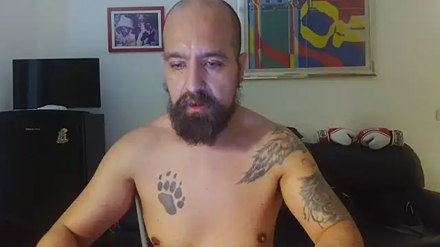Snapshot of AMIRDIB2025 chatting on June 16, 2026, 4:29 pm AMIRDIB2025 online show from June 16, 2026, 4:29 pm