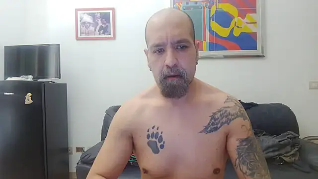 Snapshot of AMIRDIB2025 chatting on July 28, 2026, 7:27 am AMIRDIB2025 online show from July 28, 2026, 7:27 am