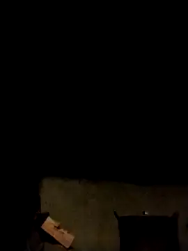 LeoPet2x online show from February 11, 2026, 1:44 pm