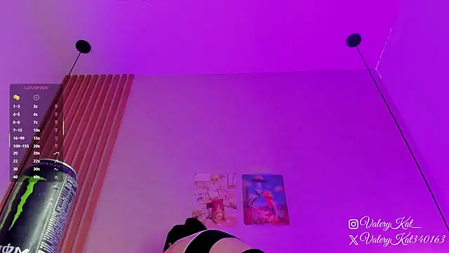 Valerykat  online show from February 21, 2026, 11:45 am