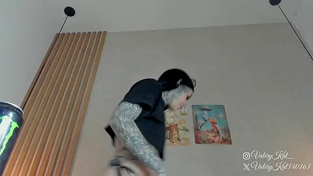 Valerykat  online show from February 6, 2026, 12:01 pm