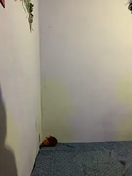 Arely-L1 online show from February 9, 2026, 12:30 am