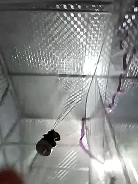 Evelyn-n online show from March 4, 2026, 12:24 pm