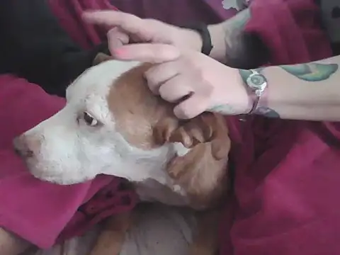 Darkytah online show from February 20, 2026, 3:36 pm