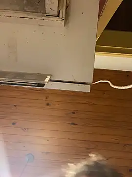 Petebulimia online show from February 23, 2026, 4:40 pm