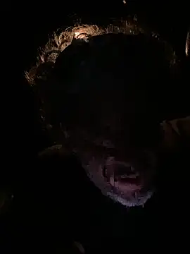 Petebulimia online show from March 13, 2026, 1:54 am