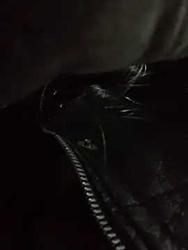 Katia-LS online show from November 30, 2025, 7:14 pm