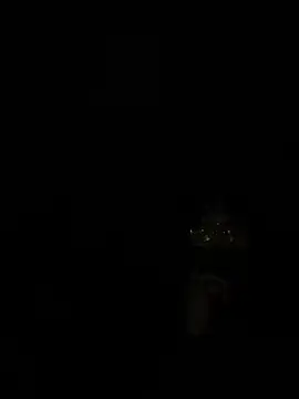 ValuedConcept687 online show from February 3, 2026, 6:22 am