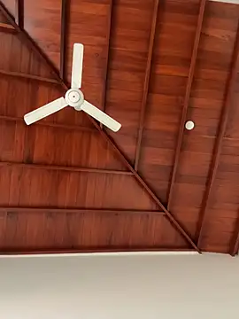 Dahan99346 online show from December 18, 2025, 6:18 am