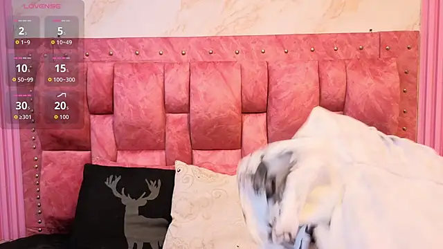 Snapshot of ValeryMorales chatting on February 21, 2026, 7:38 pm ValeryMorales online show from February 21, 2026, 7:38 pm