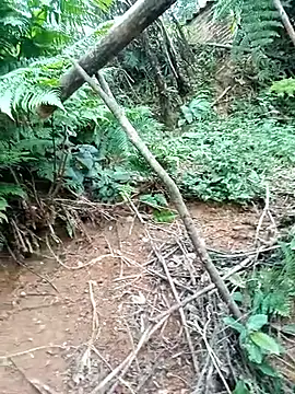 ava-dellght online show from January 17, 2026, 2:37 am