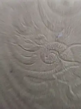 Rent your boyfriend online show from January 8, 2026, 8:42 am