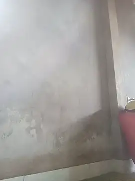 mon-monk online show from December 20, 2025, 2:36 am