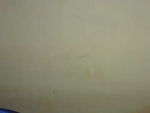 Exotic tanvi online show from February 19, 2026, 4:15 pm