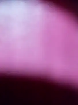 Myrelahot online show from March 21, 2026, 12:34 am