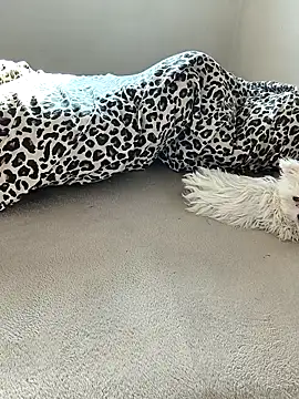 Snapshot of tenifer chatting on December 15, 2025, 9:26 am tenifer online show from December 15, 2025, 9:26 am