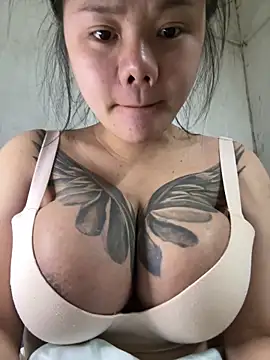 leo-kitty online show from February 11, 2026, 2:17 pm