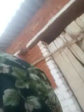 Pinki rajak online show from April 24, 2026, 10:50 am