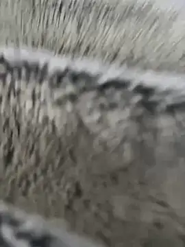 Lm0600 online show from March 28, 2026, 3:57 pm