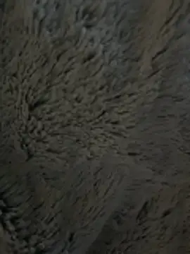 Lm0600 online show from April 3, 2026, 7:26 am