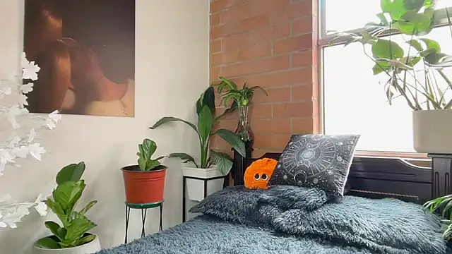 Andy Belier23 online show from February 10, 2026, 3:22 pm