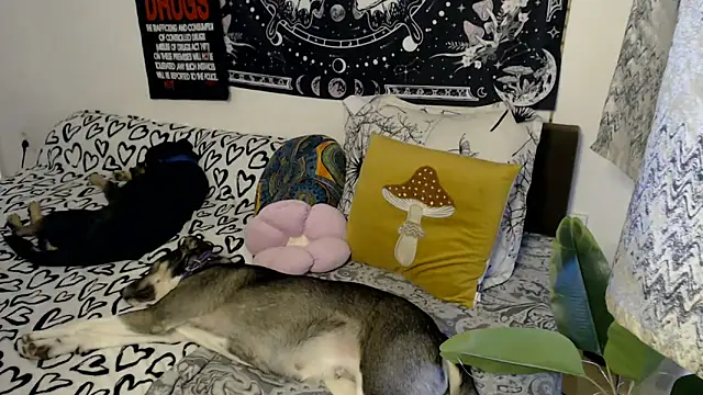 AlienforTwenty online show from February 26, 2026, 8:58 am